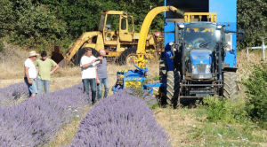 chasse abeille tracteur