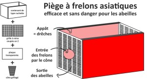 red trap piège frelon