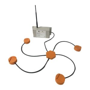 ruche connectée