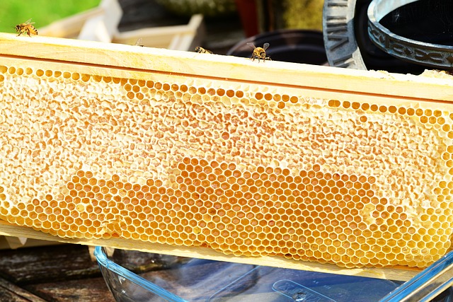 conserver cadres ruche