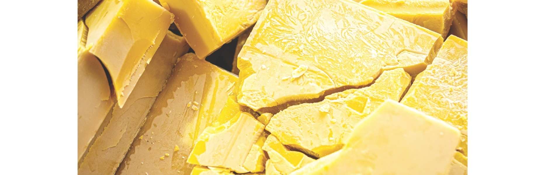 Qualité cire abeille : l’analyse de l’ANSES pour comprendre les risques et agir