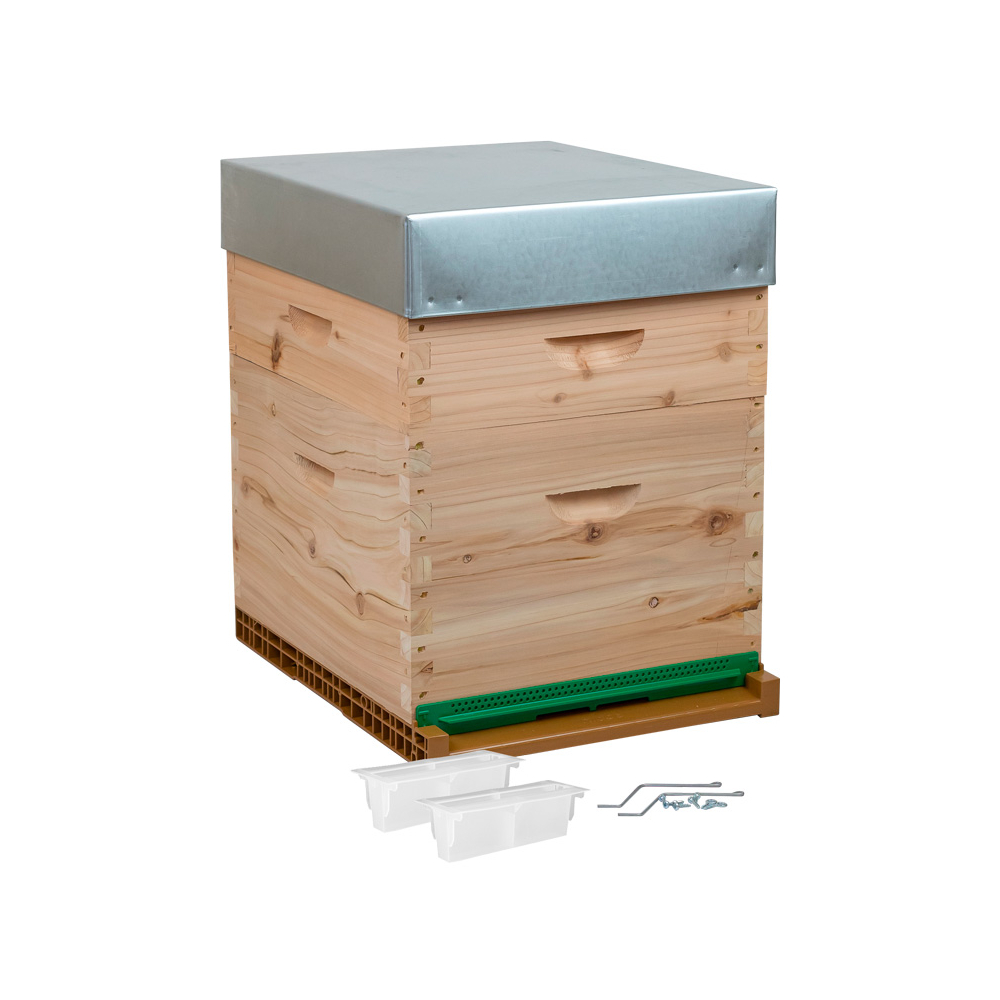 Ruche Dadant cryptolight